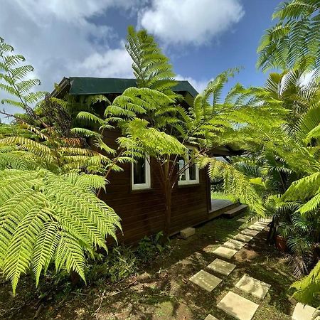 Bungalow A Flanc De Colline Le Morne-Rouge Exterior foto